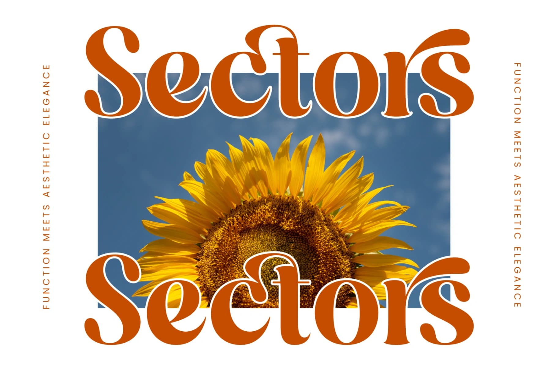 Preview 12 for Dusty Brothe - Groovy Serif Display