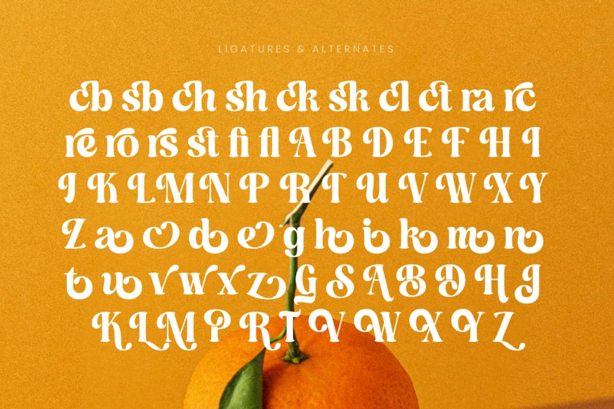 Dusty Brothe - Groovy Serif Display font preview 18