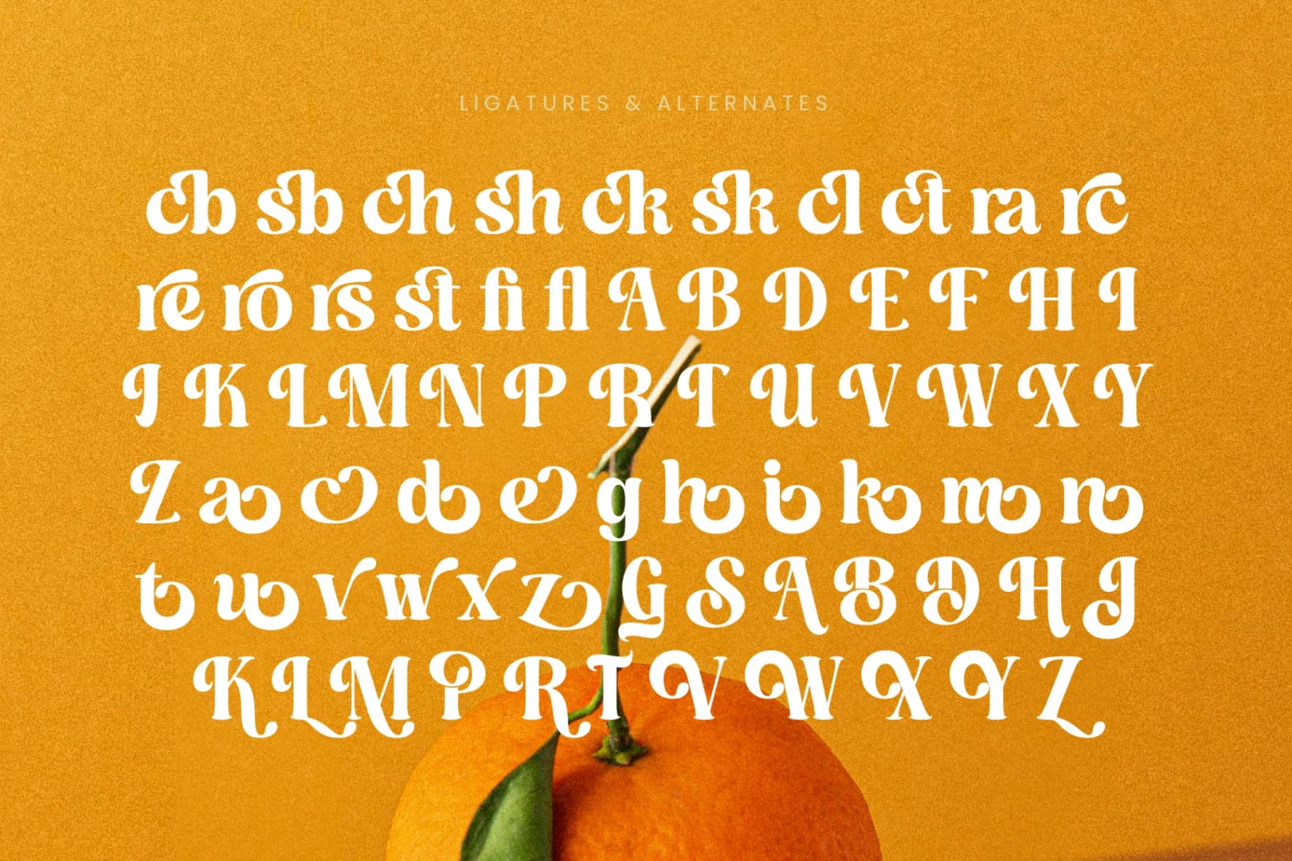 Preview 18 for Dusty Brothe - Groovy Serif Display