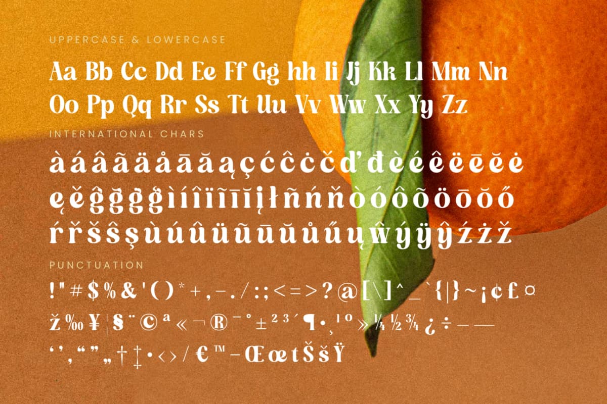 Dusty Brothe - Groovy Serif Display font preview 19