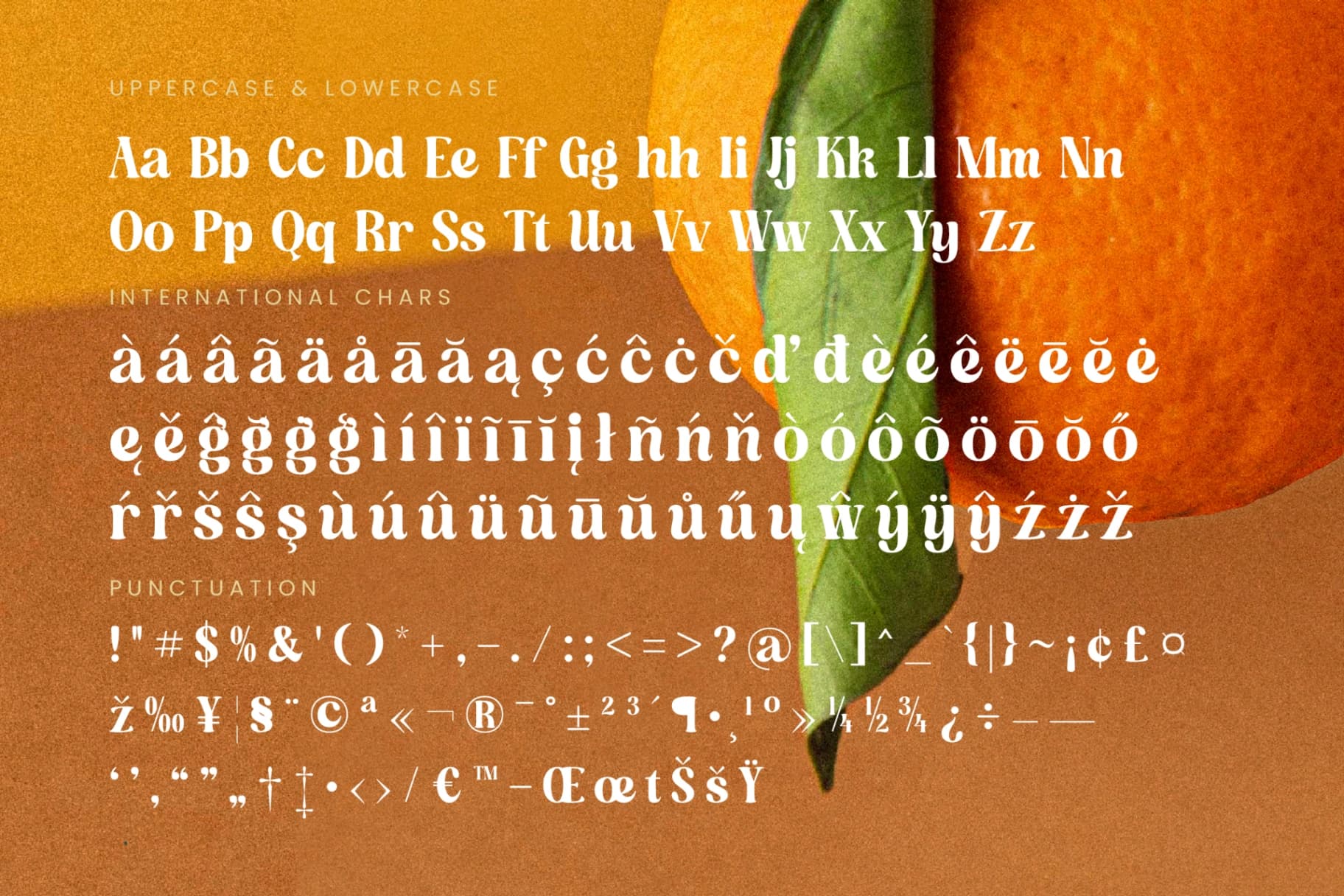 Preview 19 for Dusty Brothe - Groovy Serif Display