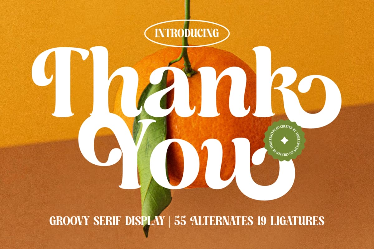 Dusty Brothe - Groovy Serif Display font preview 20