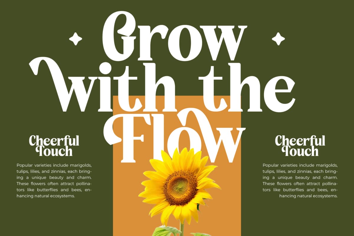 Rusty Drake - Bold Serif Display font preview 9