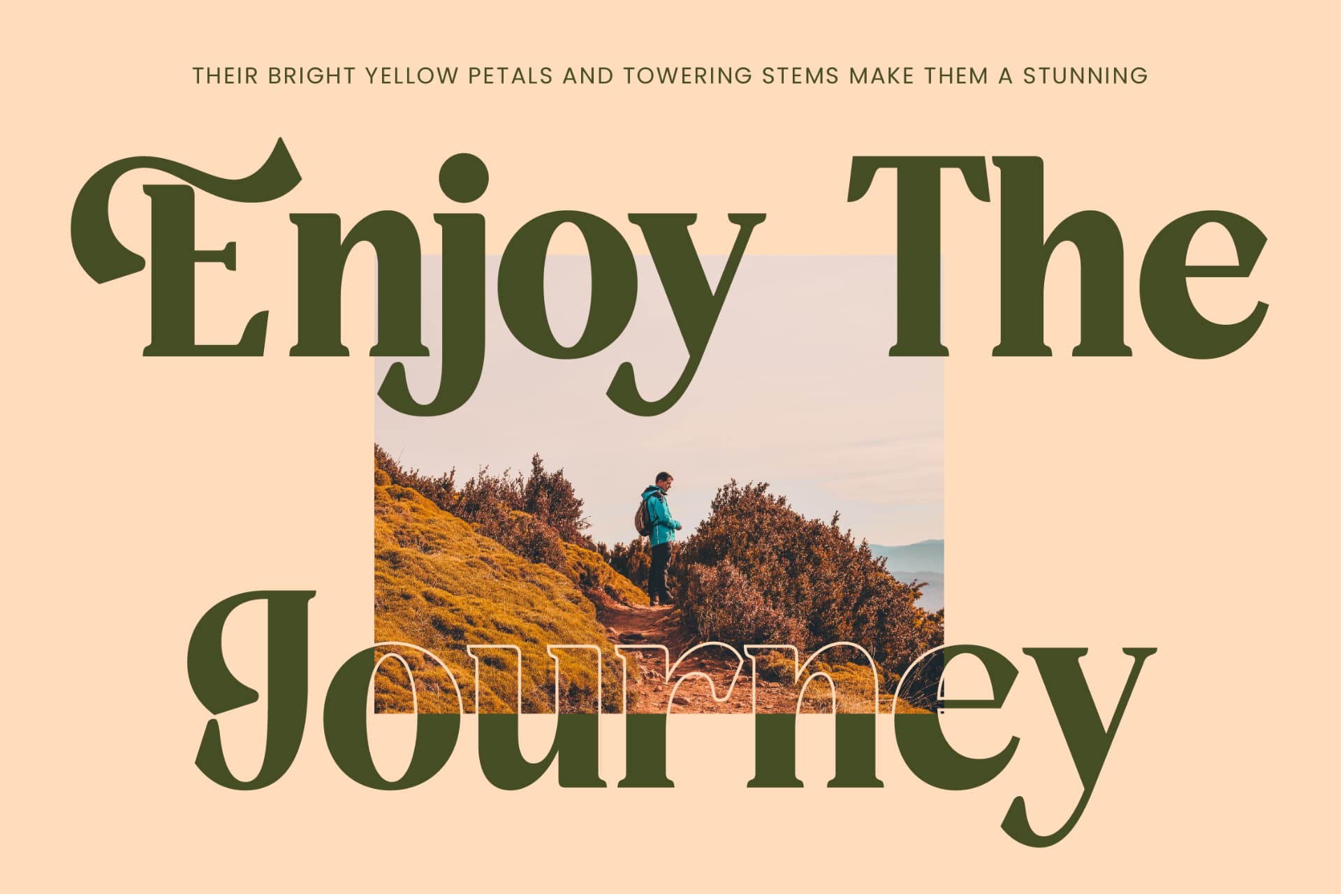 Preview 16 for Rusty Drake - Bold Serif Display