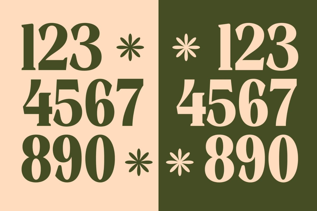 Rusty Drake - Bold Serif Display font preview 14