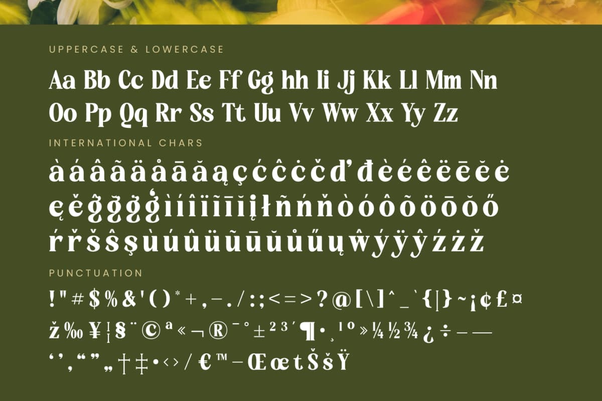 Rusty Drake - Bold Serif Display font preview 19