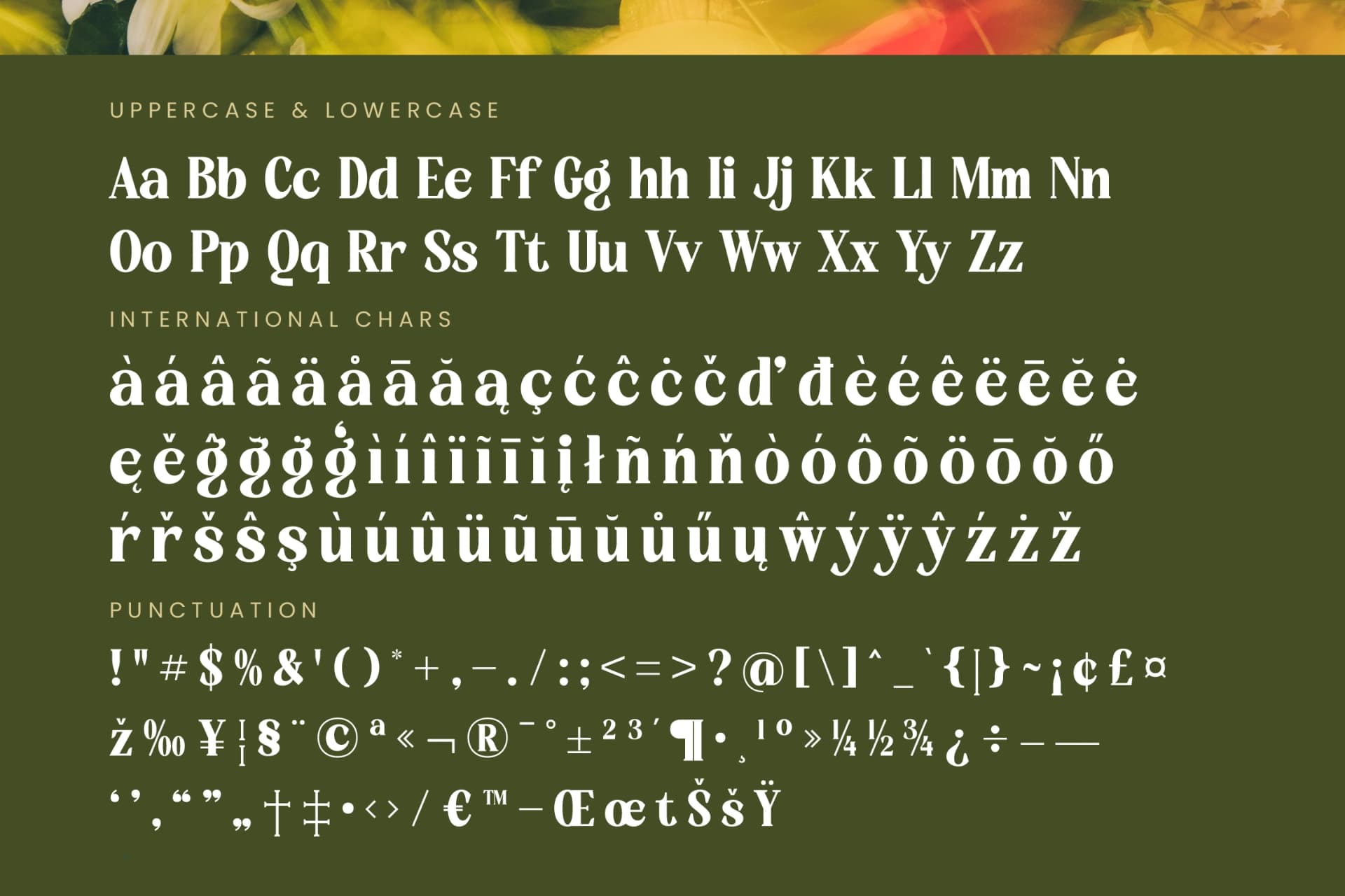Preview 19 for Rusty Drake - Bold Serif Display