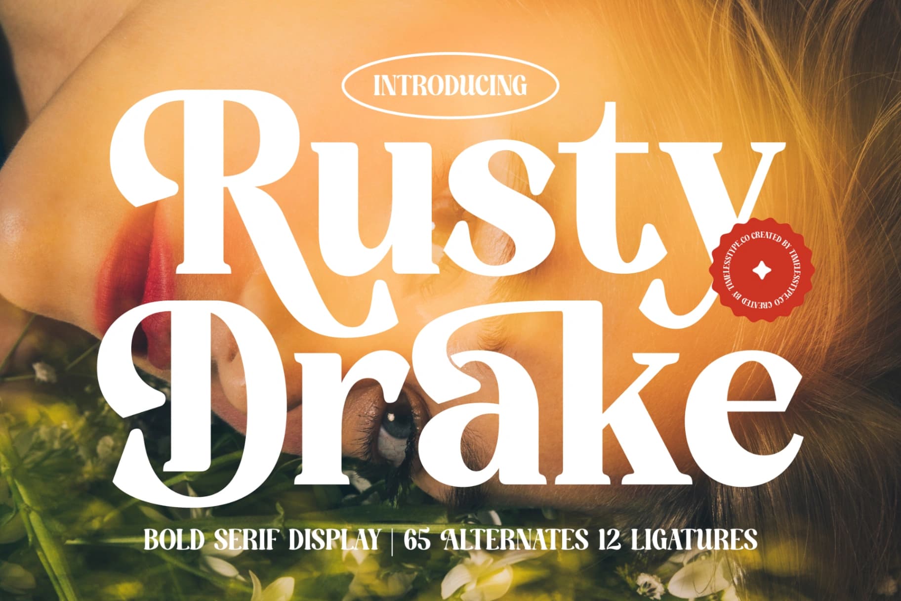 Preview 1 for Rusty Drake - Bold Serif Display