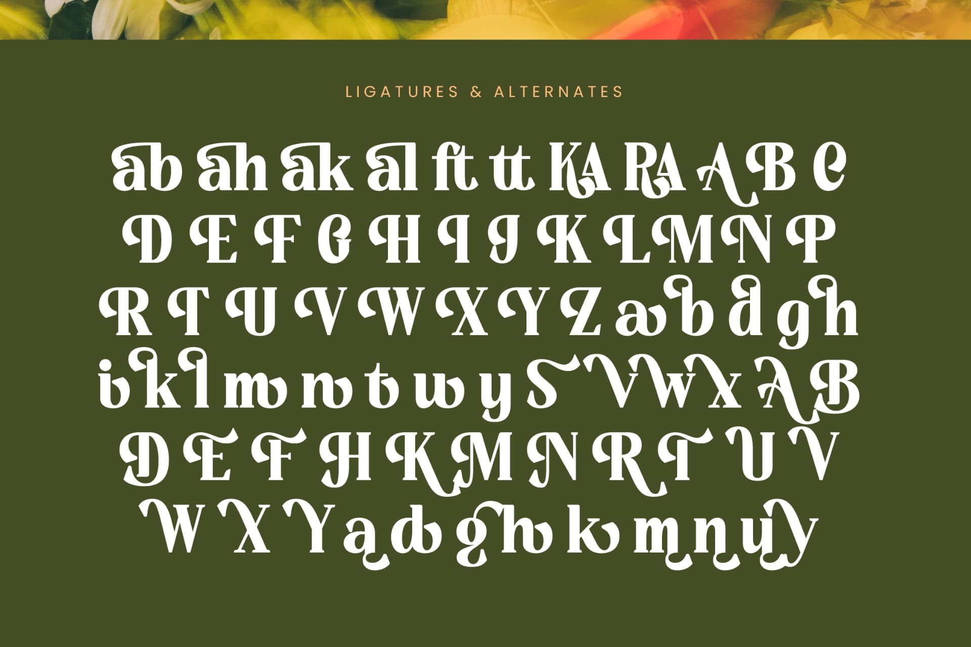 Preview 18 for Rusty Drake - Bold Serif Display