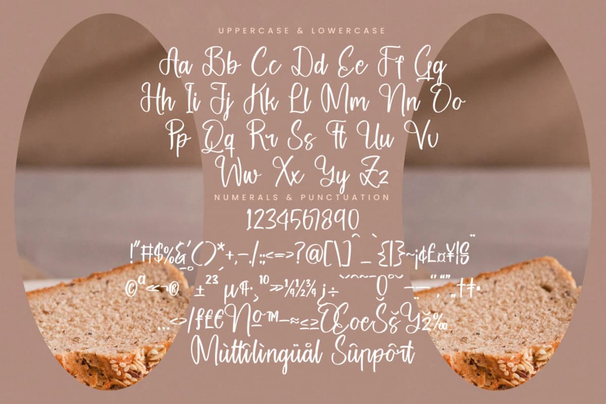 Nostalgic Frames - Handwritten Script Font font preview 19