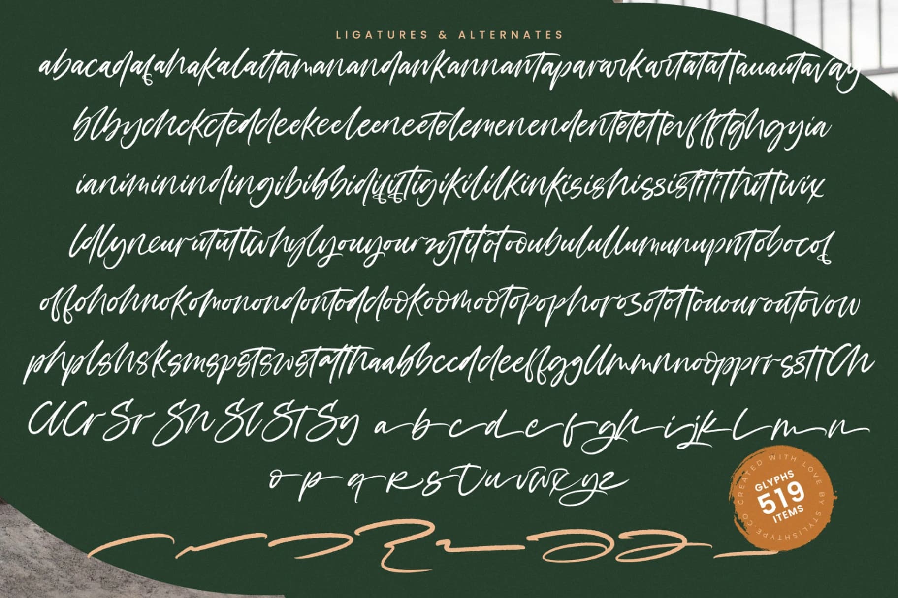 Preview 19 for Filmakers Bright - Modern Brush Script Font