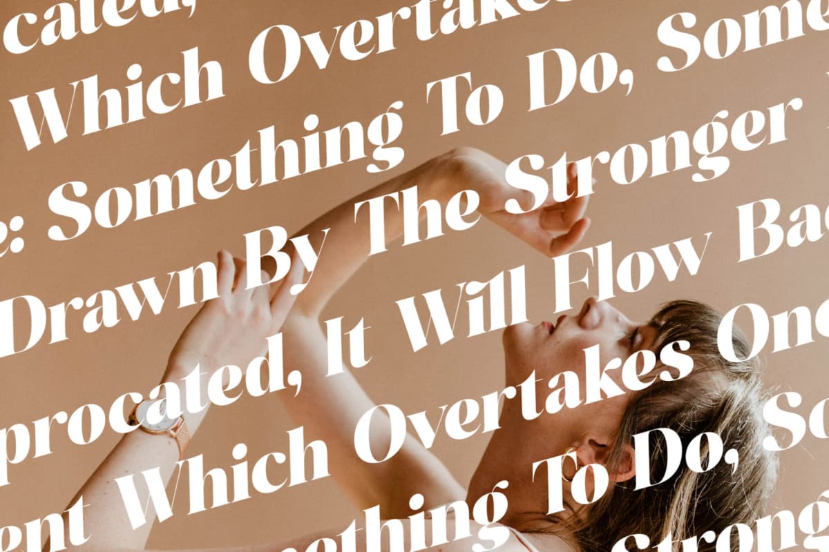 Preview 14 for Melody Cottage - Modern Bold Serif
