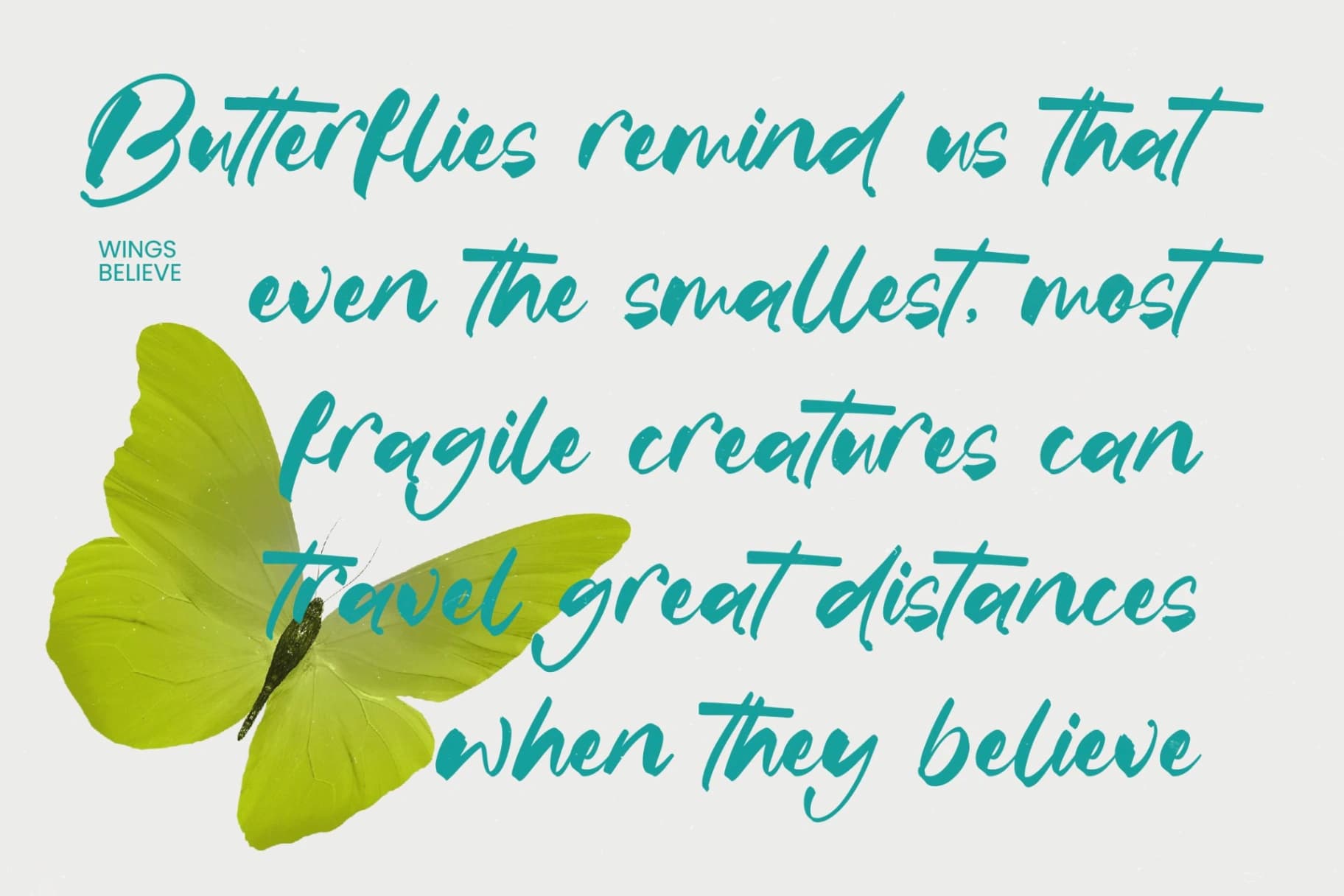 Preview 3 for Satiate Ration - Bold Brush Font