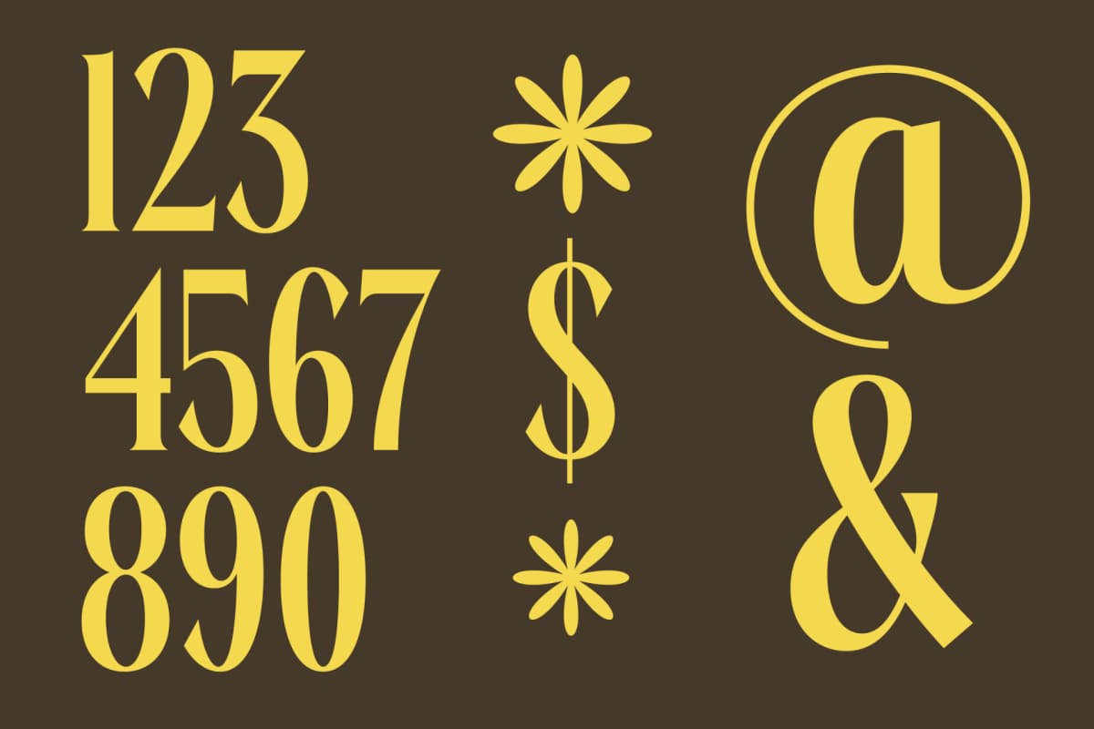 Preview 5 for Rachon - Bold Tall Serif Display Font
