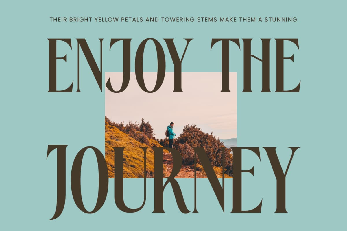 Preview 16 for Rachon - Bold Tall Serif Display Font