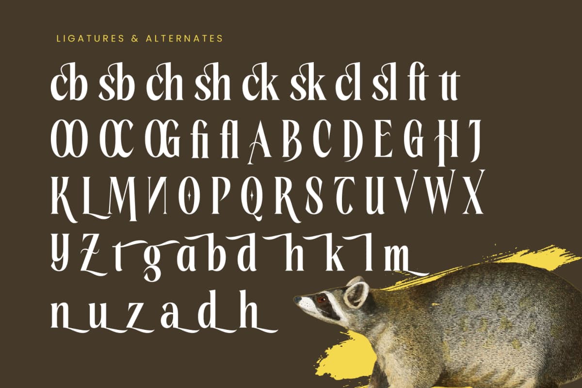 Preview 18 for Rachon - Bold Tall Serif Display Font