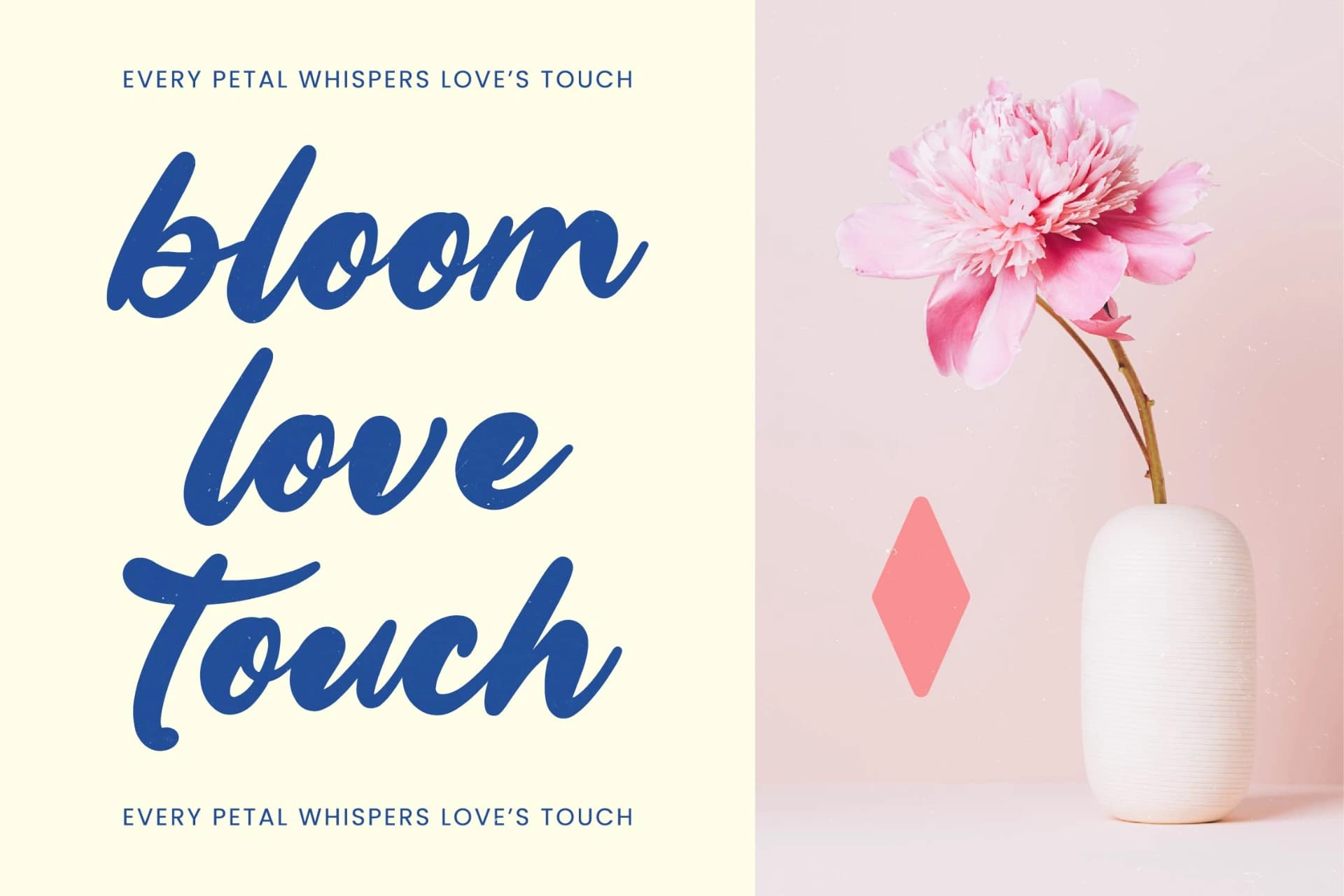 Preview 3 for Smuthe Chilly - Bold Calligraphy Font