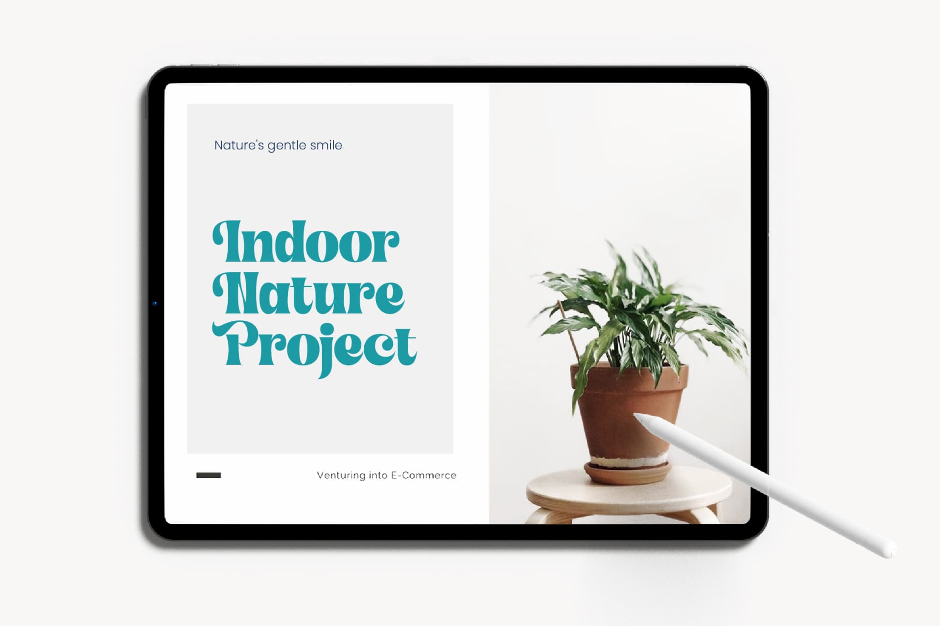 Preview 6 for Shyne Roska - Groovy Serif Display Font