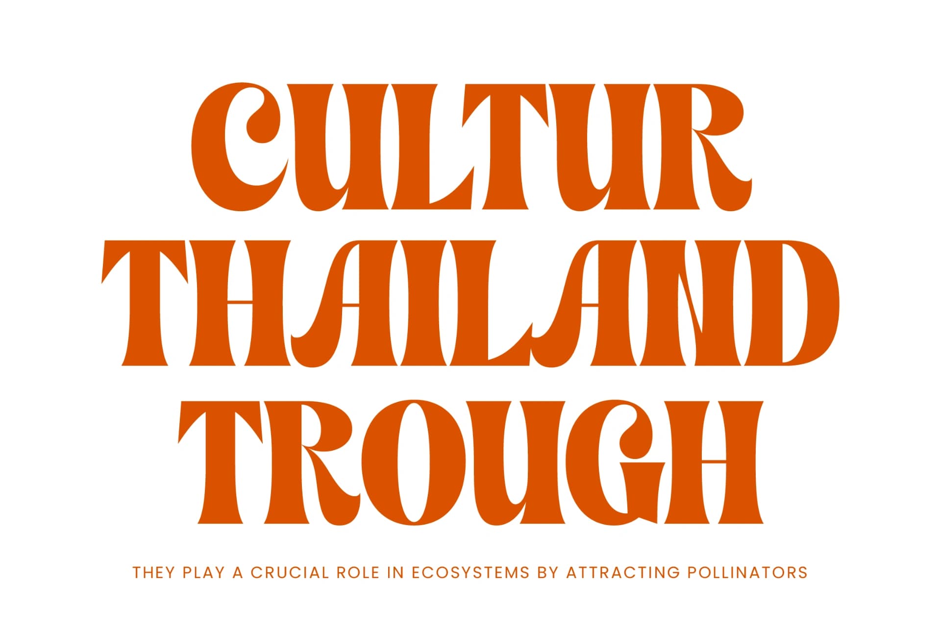 Preview 13 for Shyne Roska - Groovy Serif Display Font