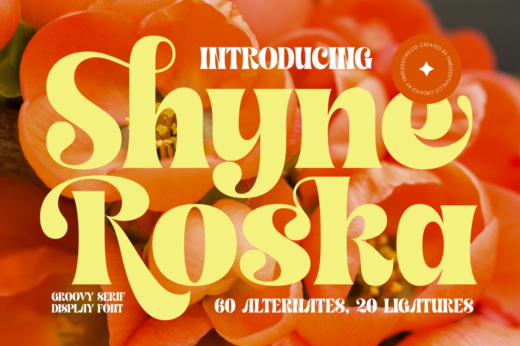 Preview 1 for Shyne Roska - Groovy Serif Display Font