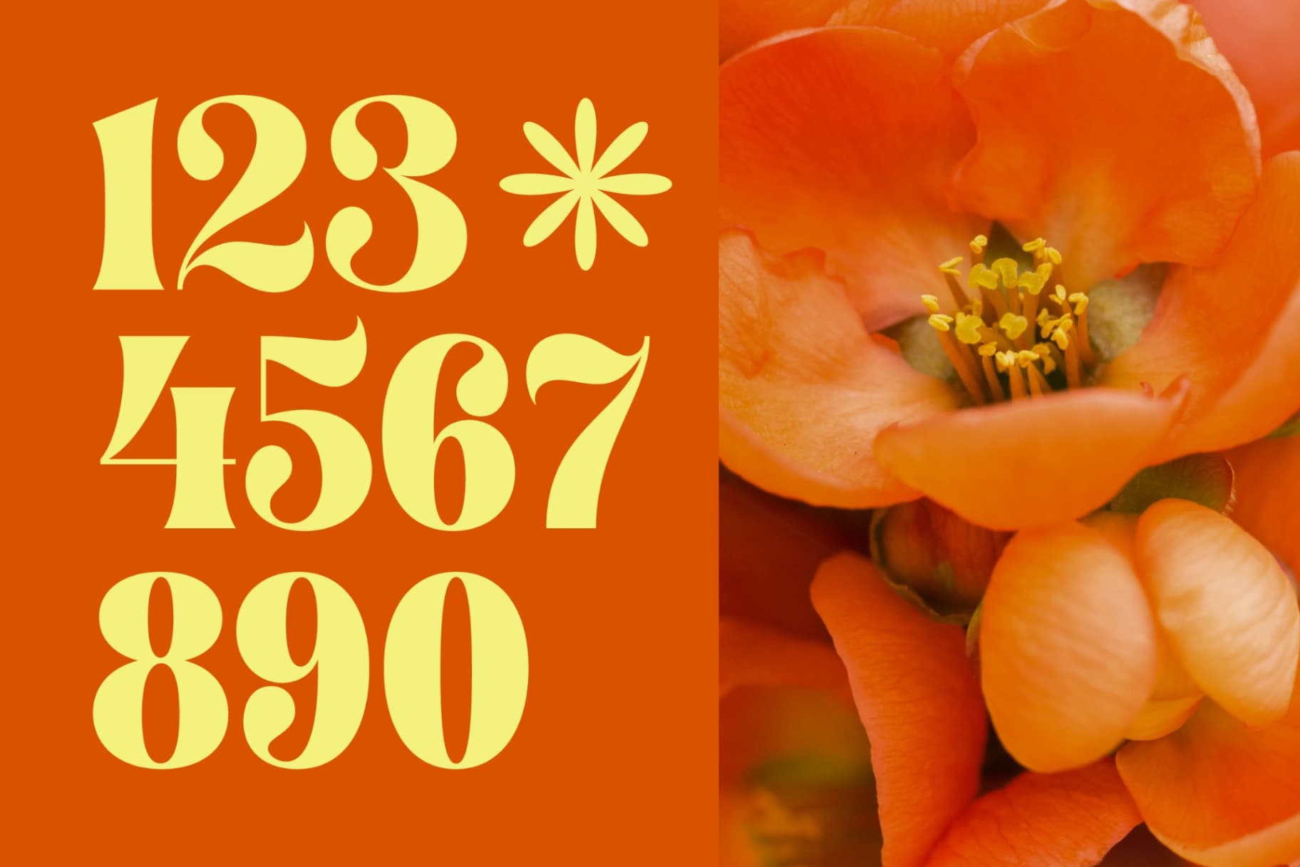 Preview 14 for Shyne Roska - Groovy Serif Display Font