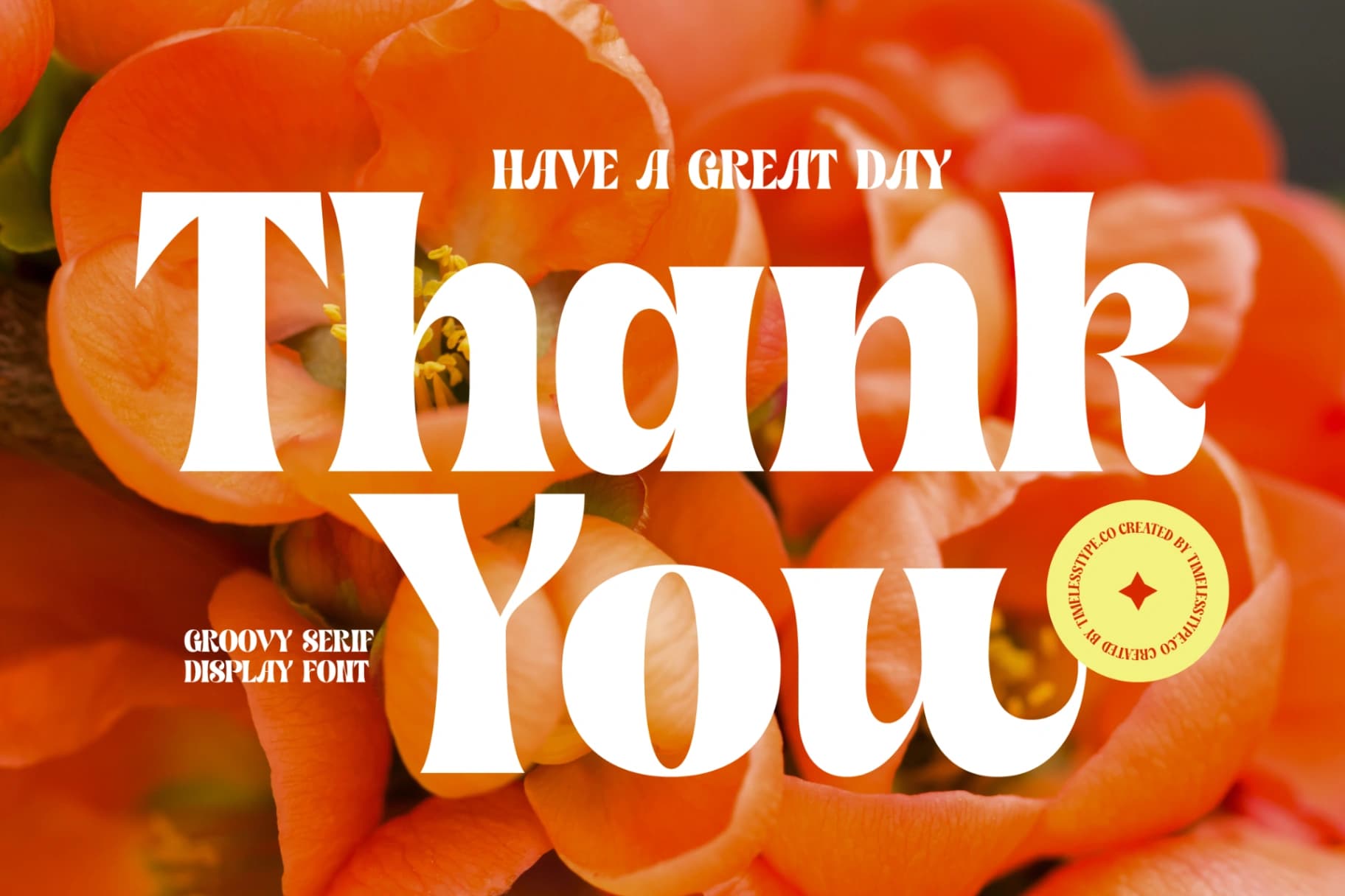 Preview 20 for Shyne Roska - Groovy Serif Display Font
