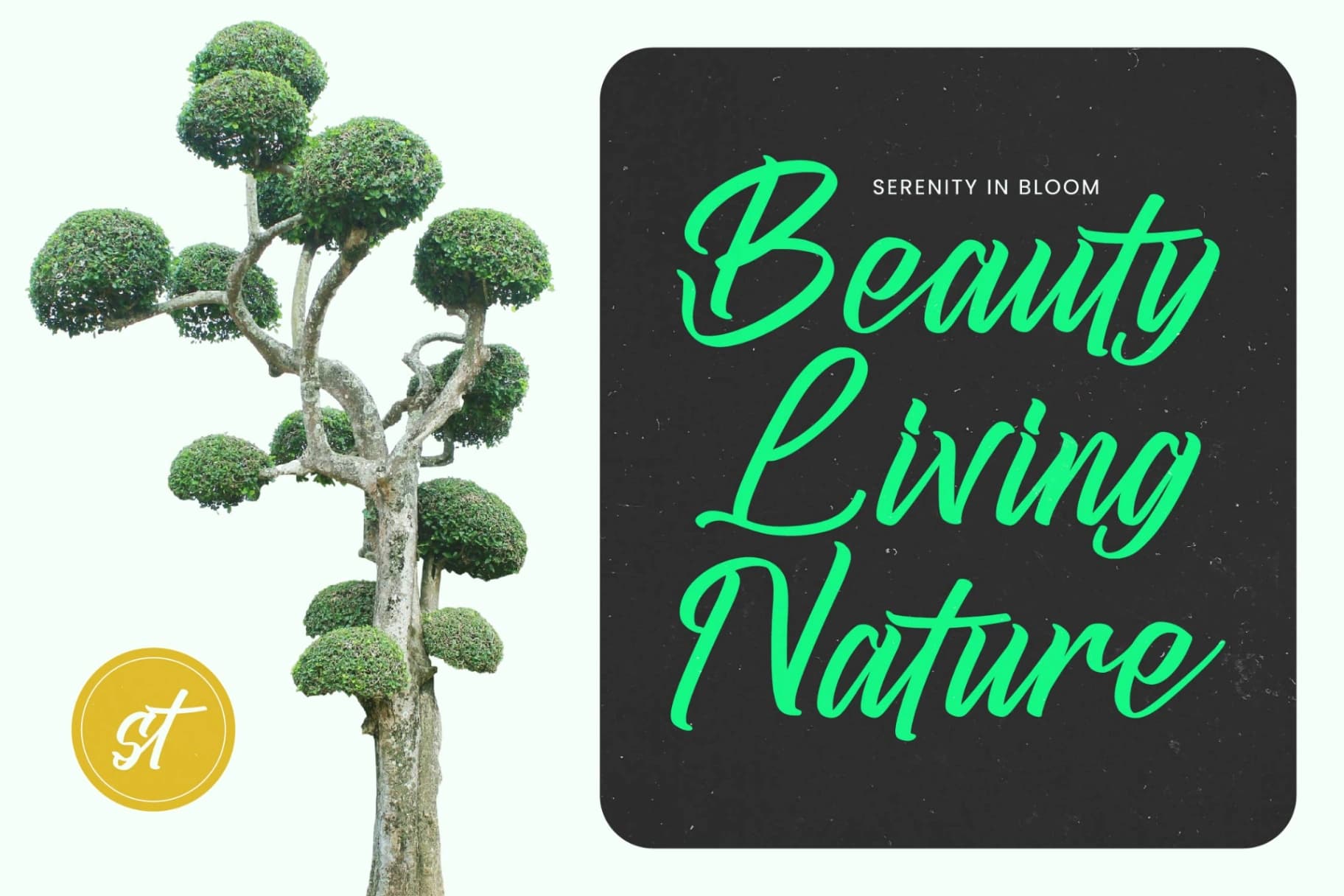 Preview 14 for Juntink Sunday - Bold Calligraphy Font