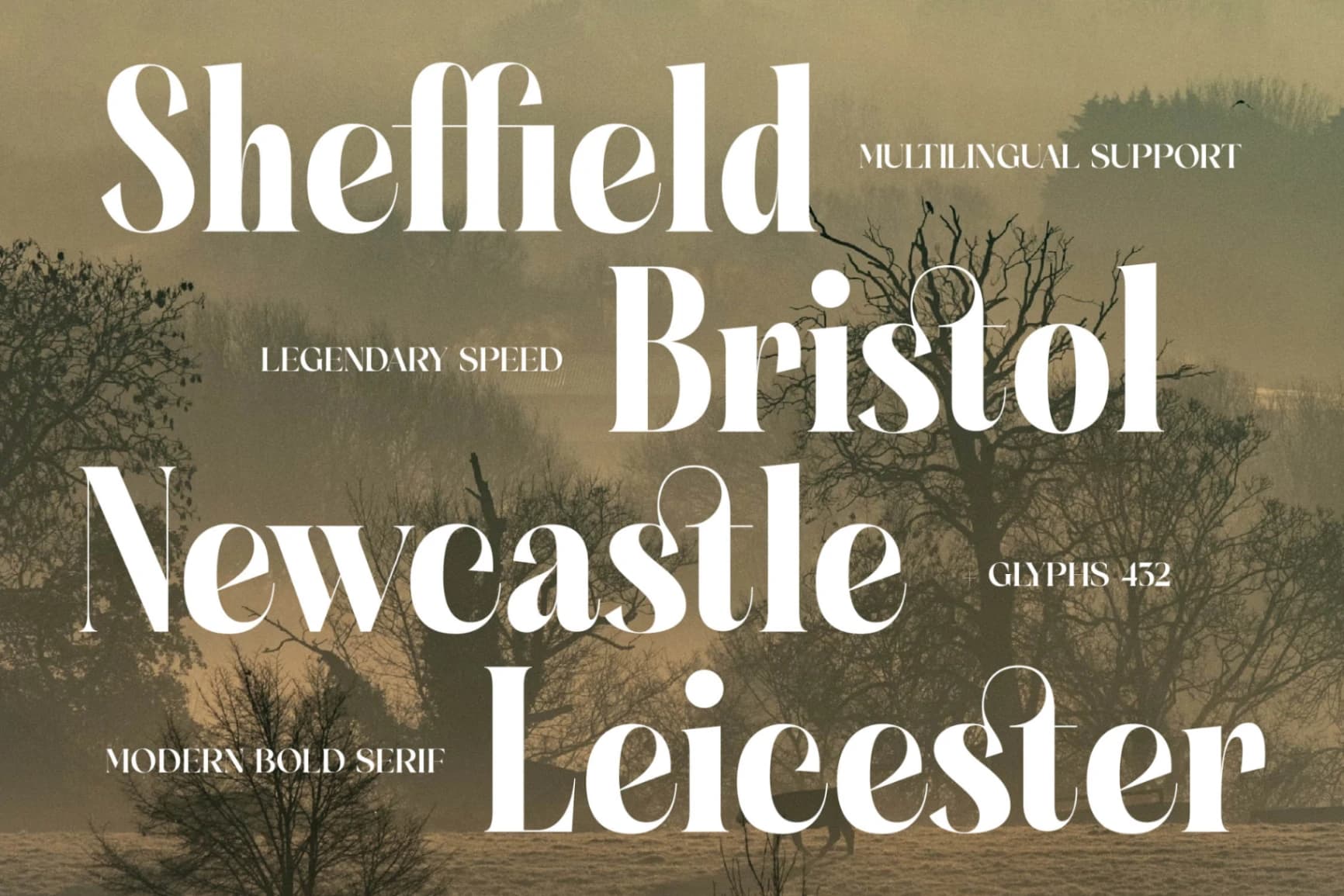 Preview 8 for Glagiste - Modern Bold Serif Font