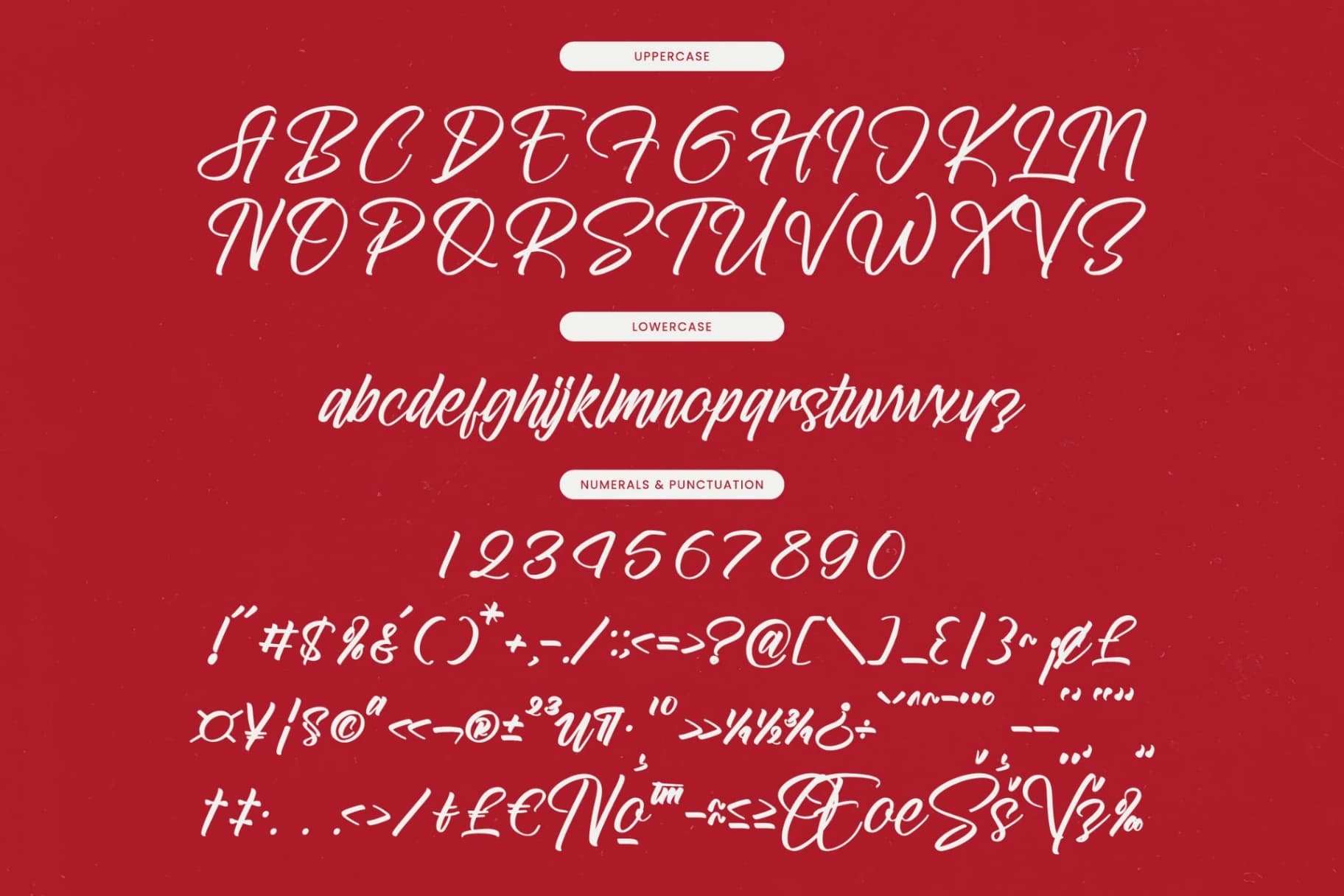 Preview 18 for Letterking Quality - Bold Handwritten Font