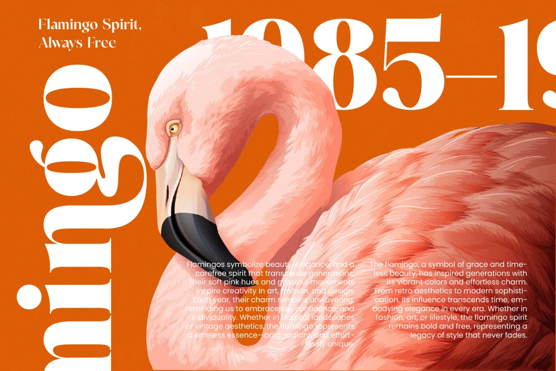 Preview 5 for Mango Jungle - Modern Bold Serif Font