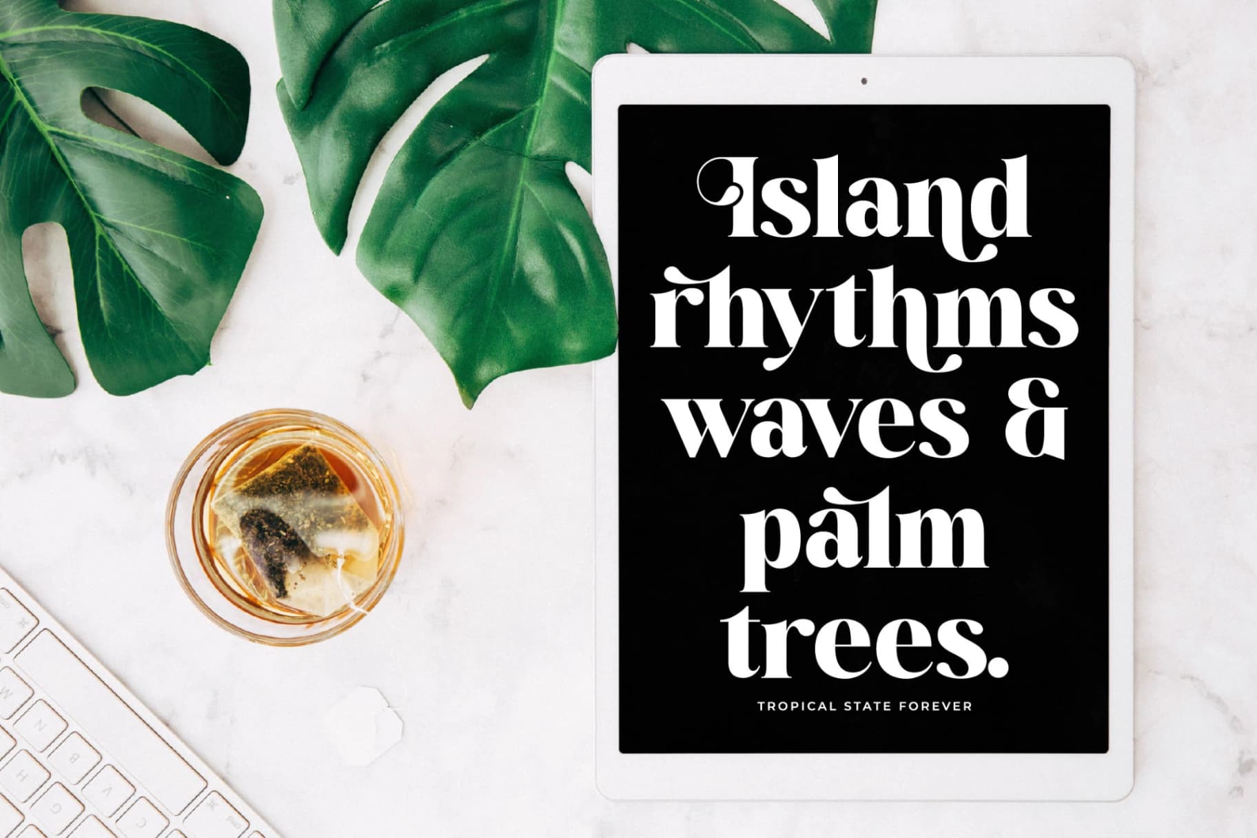Preview 8 for Mango Jungle - Modern Bold Serif Font