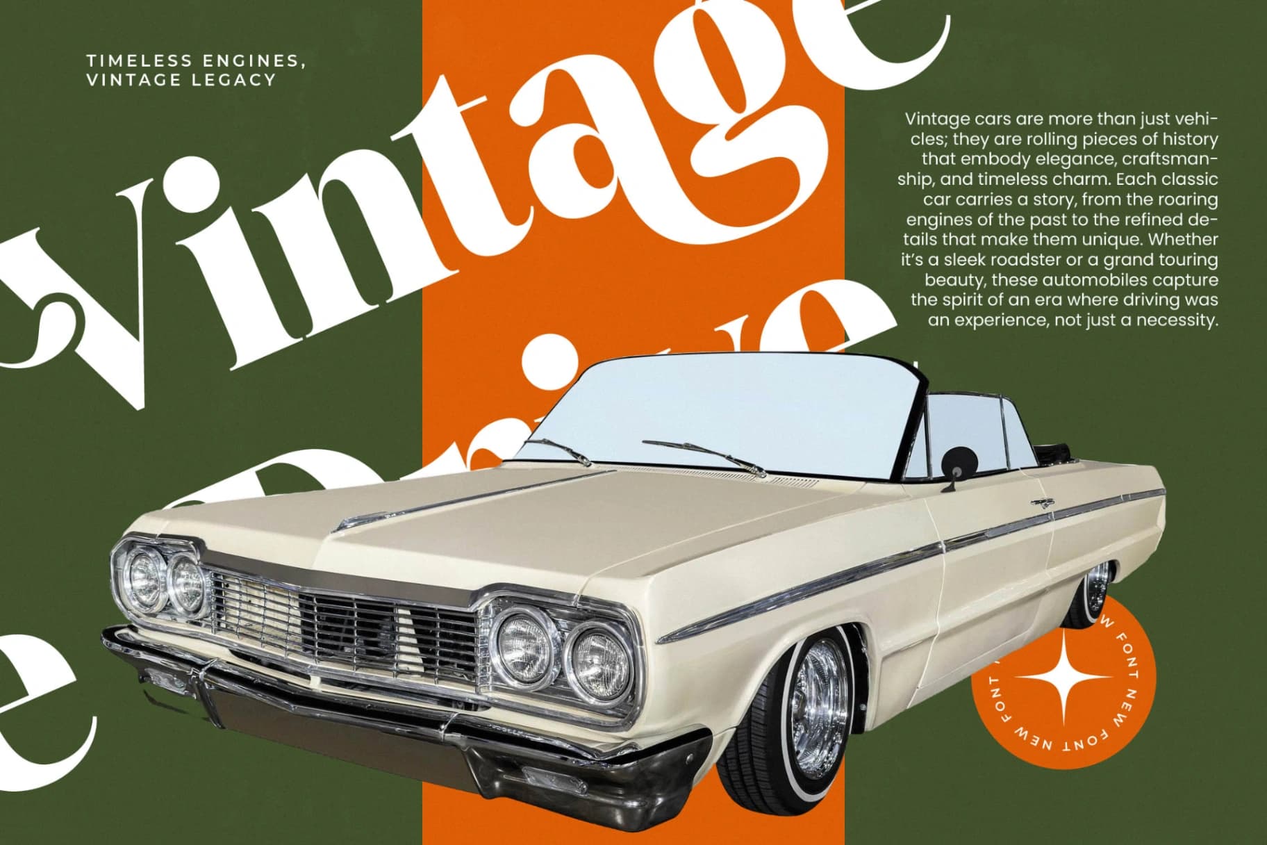 Preview 6 for Mango Jungle - Modern Bold Serif Font