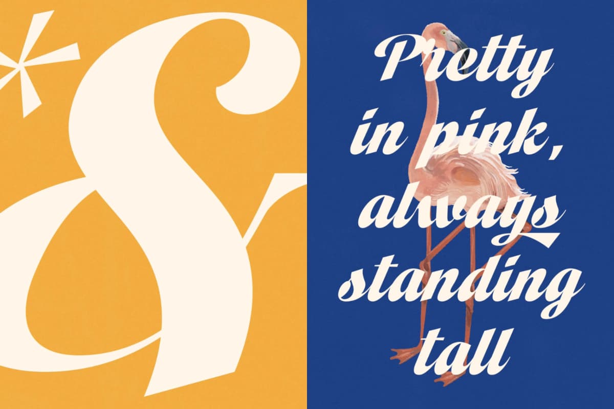 Preview 15 for Vintage Charge - Bold Script Font