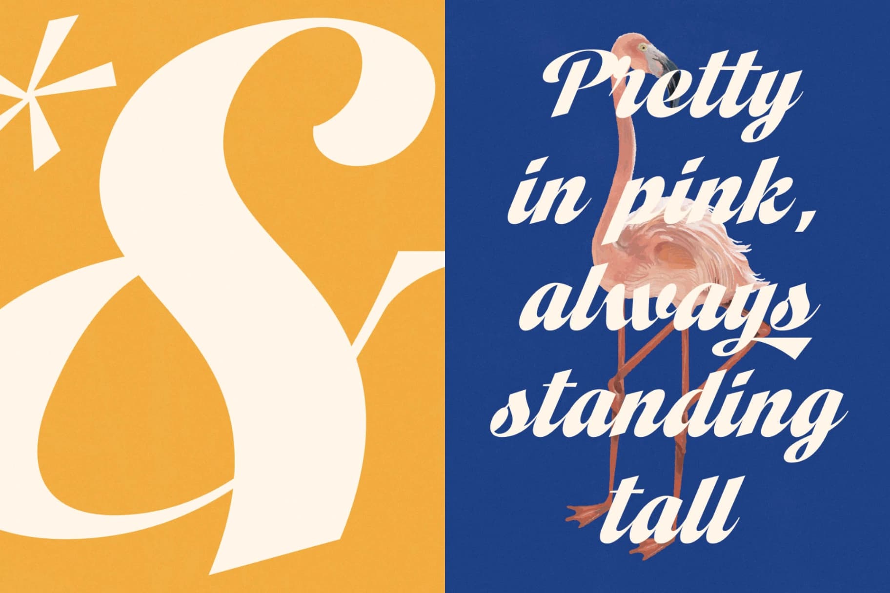 Preview 15 for Vintage Charge - Bold Script Font