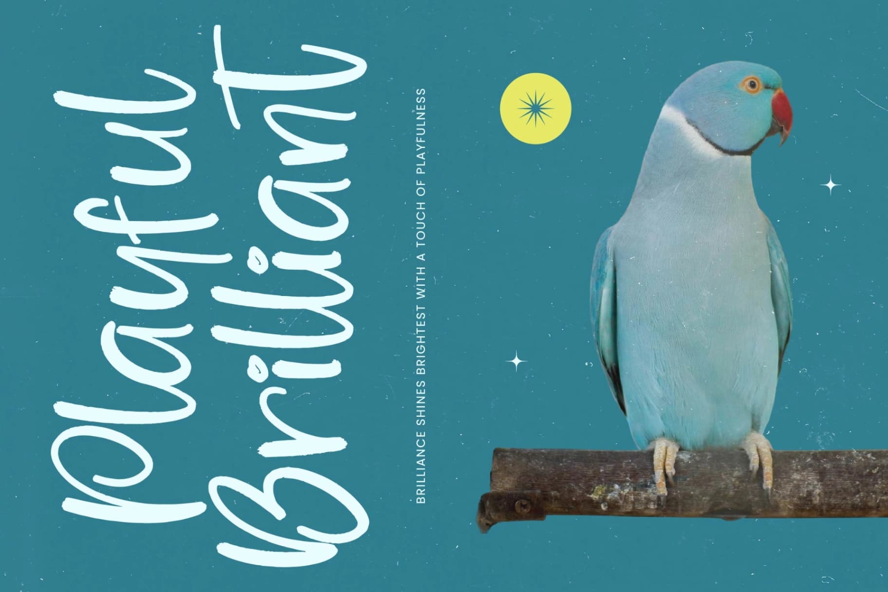 Preview 5 for Glistening Rhythm - Bold Handwritten Font