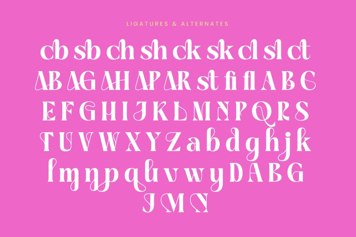 Preview 18 for April Kaget - Modern Serif Font