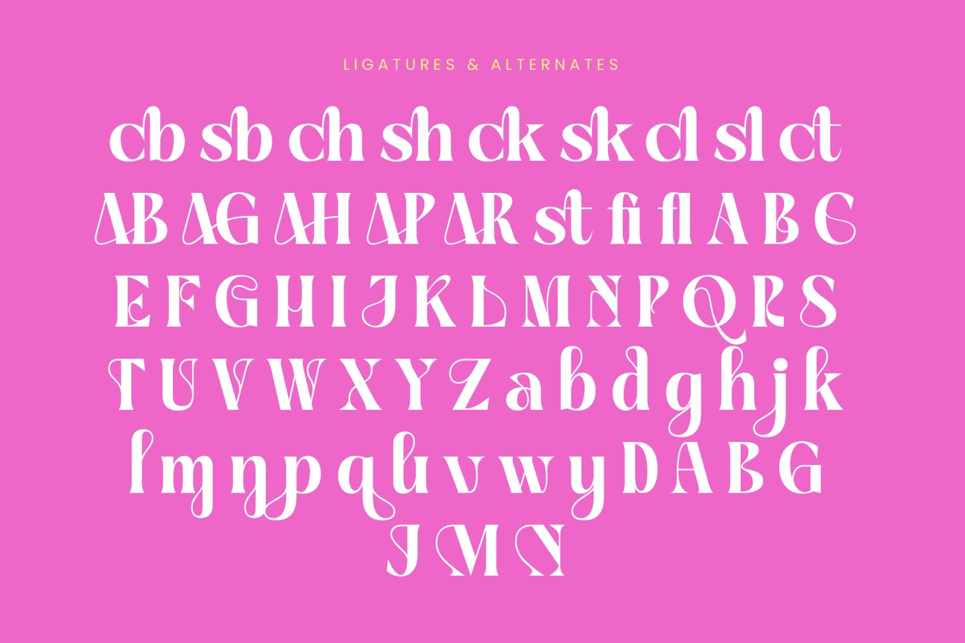 Preview 18 for April Kaget - Modern Serif Font