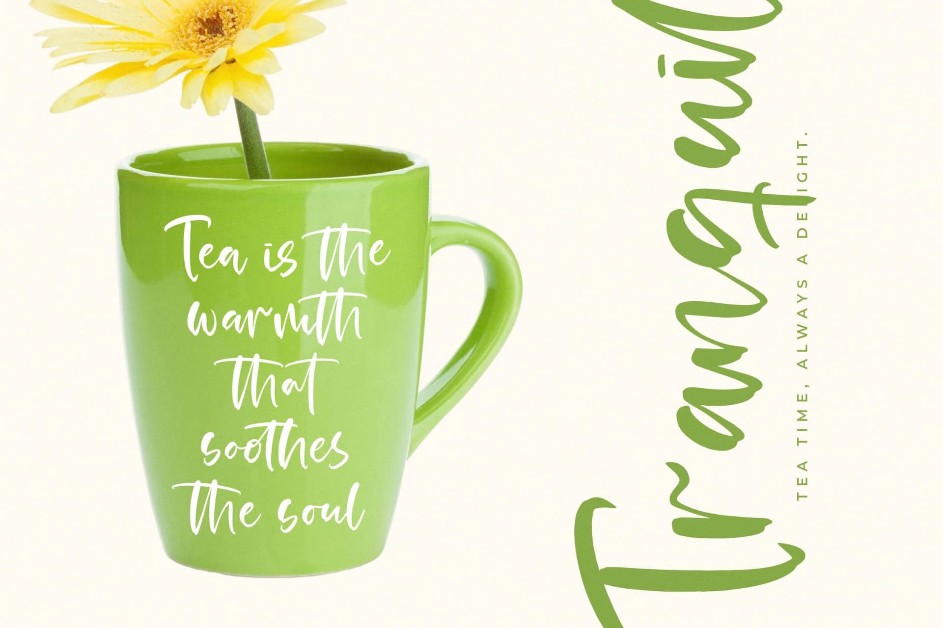 Preview 2 for Satisfy Quirky - Modern Handbrush Font