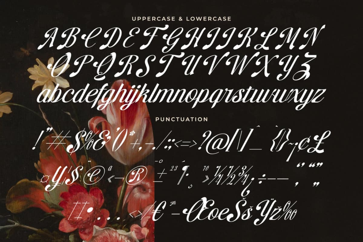 Brellight - New Elegant Script Font font preview 18