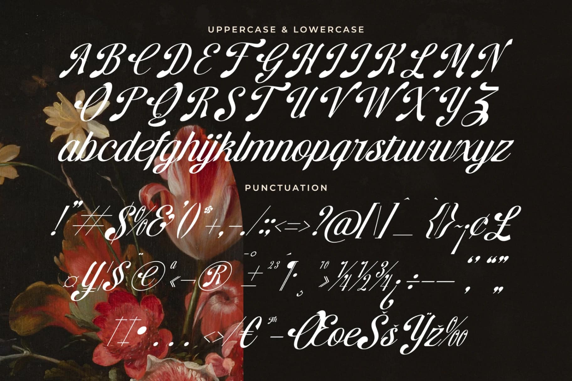 Preview 18 for Brellight - New Elegant Script Font