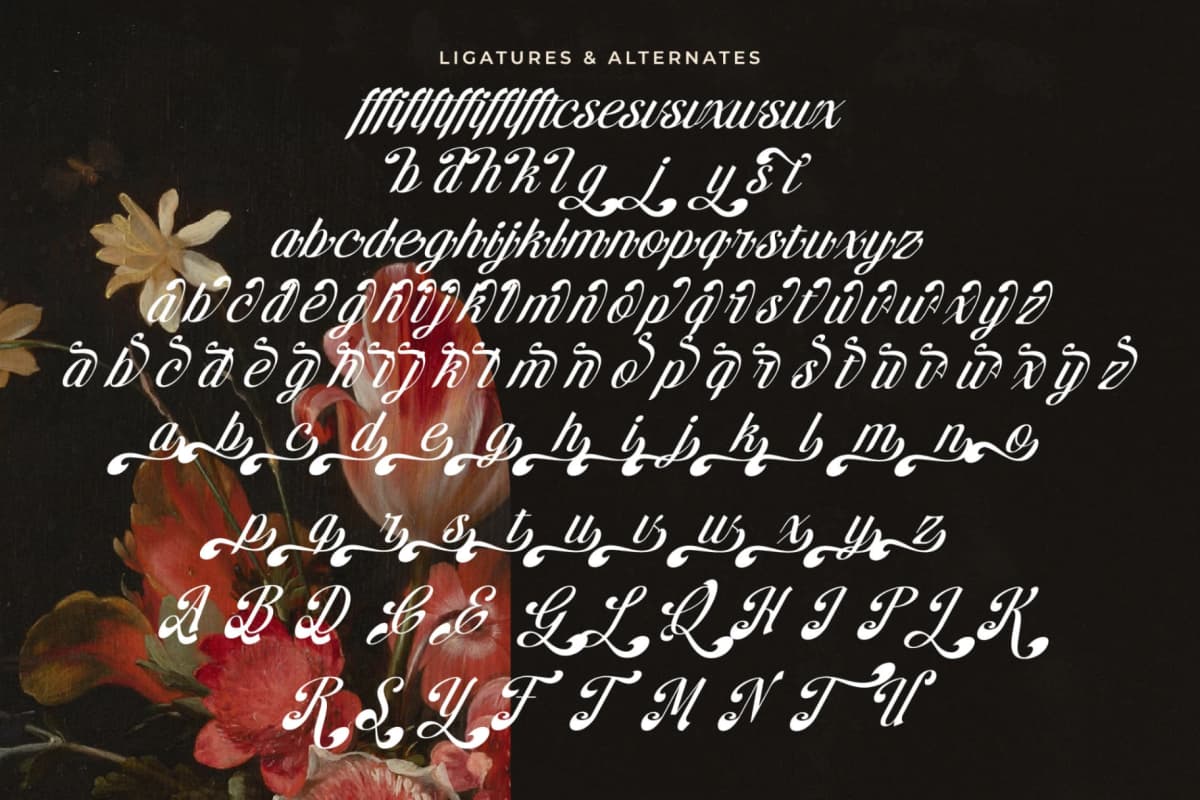 Brellight - New Elegant Script Font font preview 19