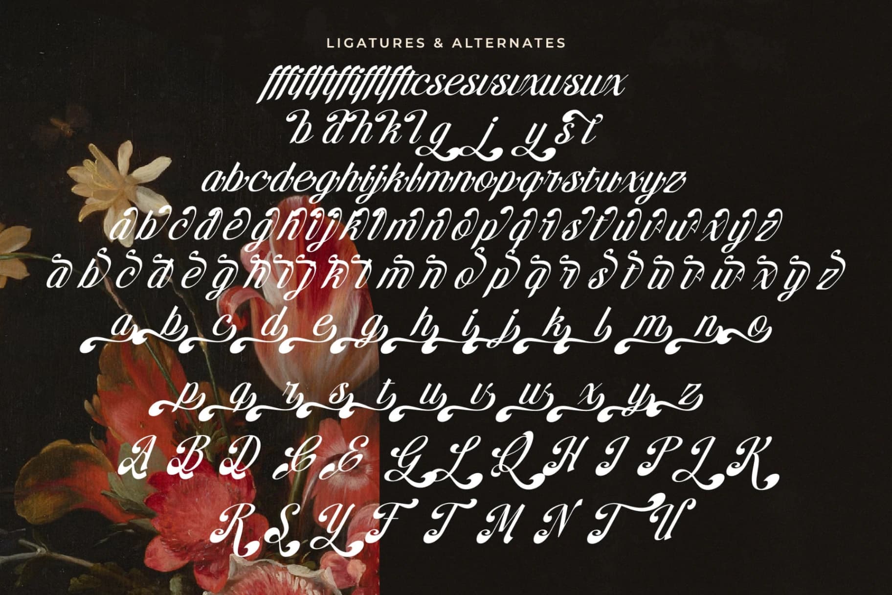 Preview 19 for Brellight - New Elegant Script Font