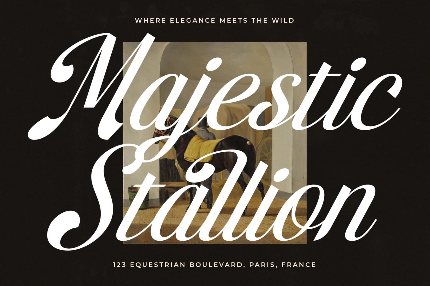 Preview 4 for Brellight - New Elegant Script Font