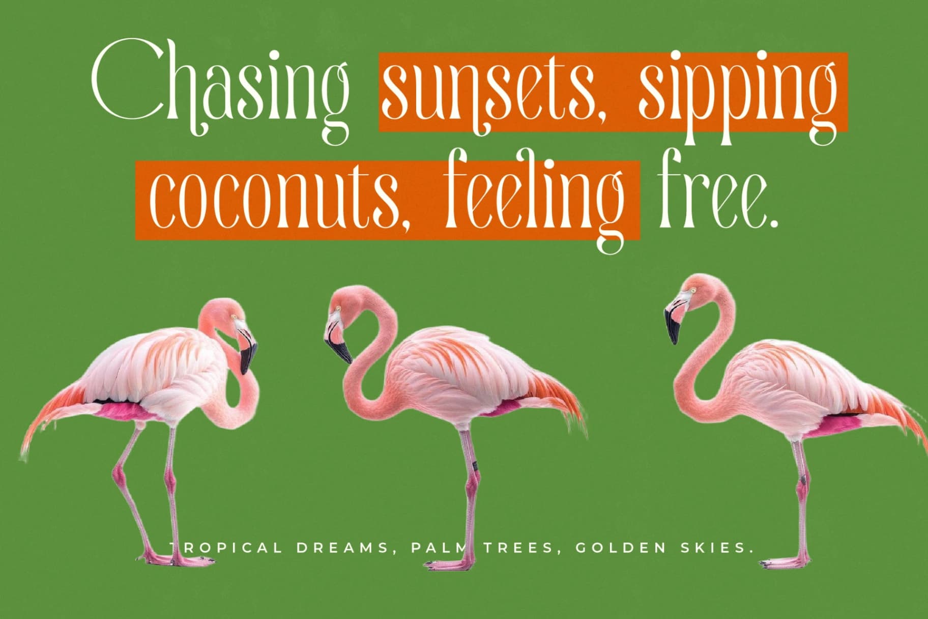 Preview 2 for Quiselle - Modern Serif Font