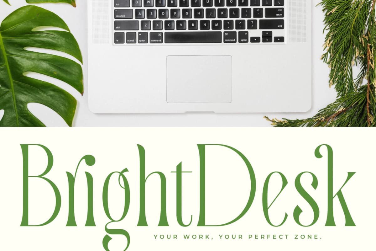 Quiselle - Modern Serif Font font preview 9