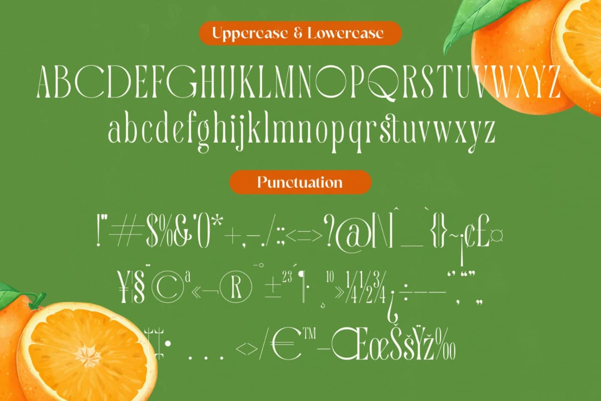 Quiselle - Modern Serif Font font preview 18
