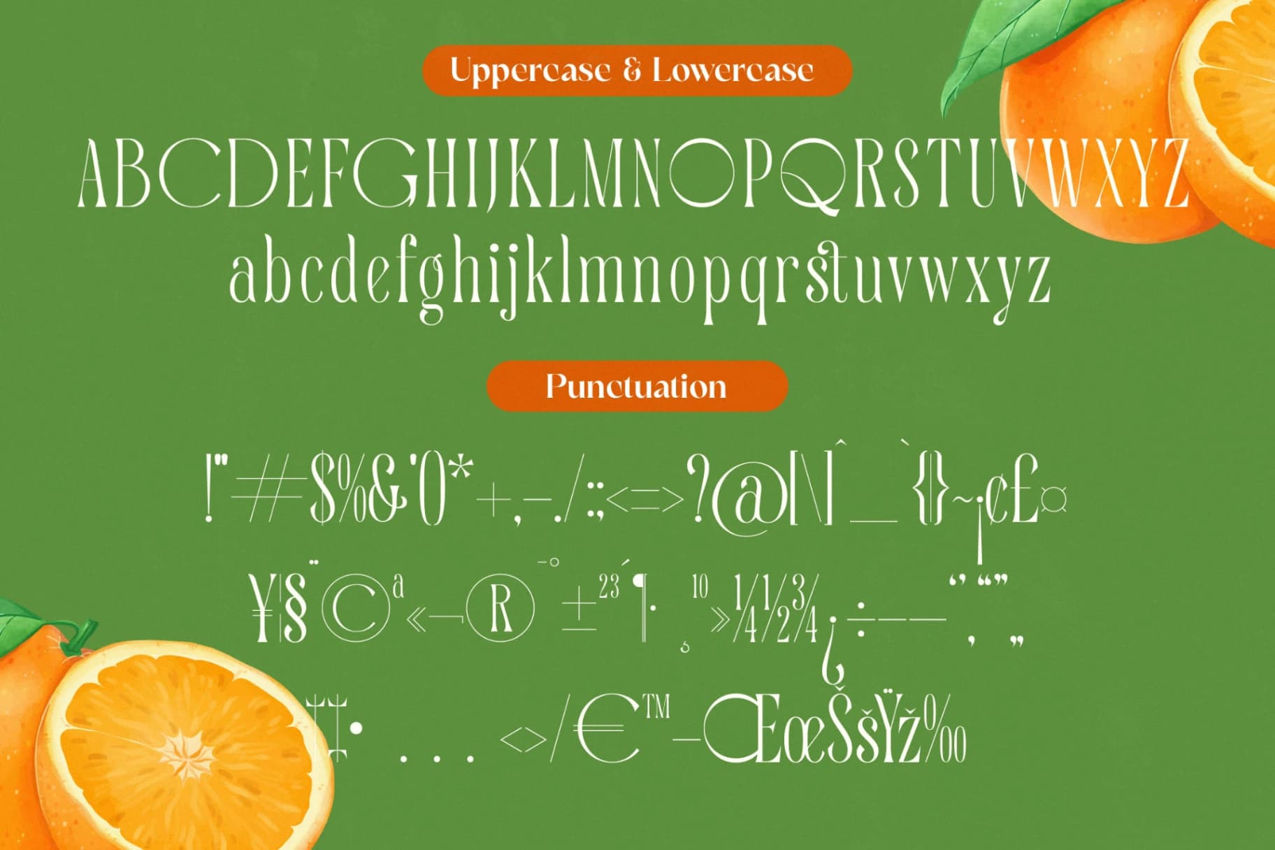 Preview 18 for Quiselle - Modern Serif Font