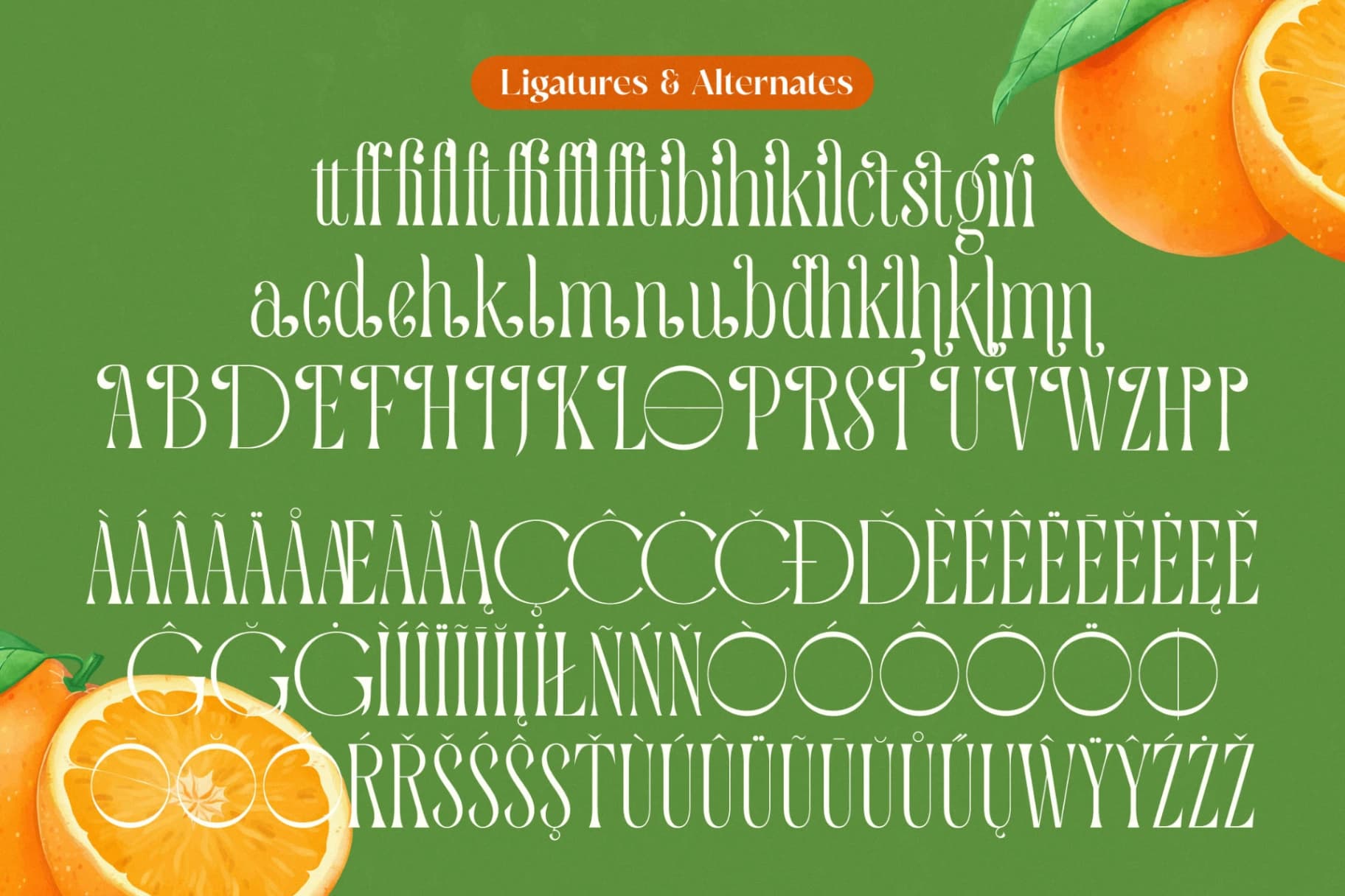 Preview 19 for Quiselle - Modern Serif Font