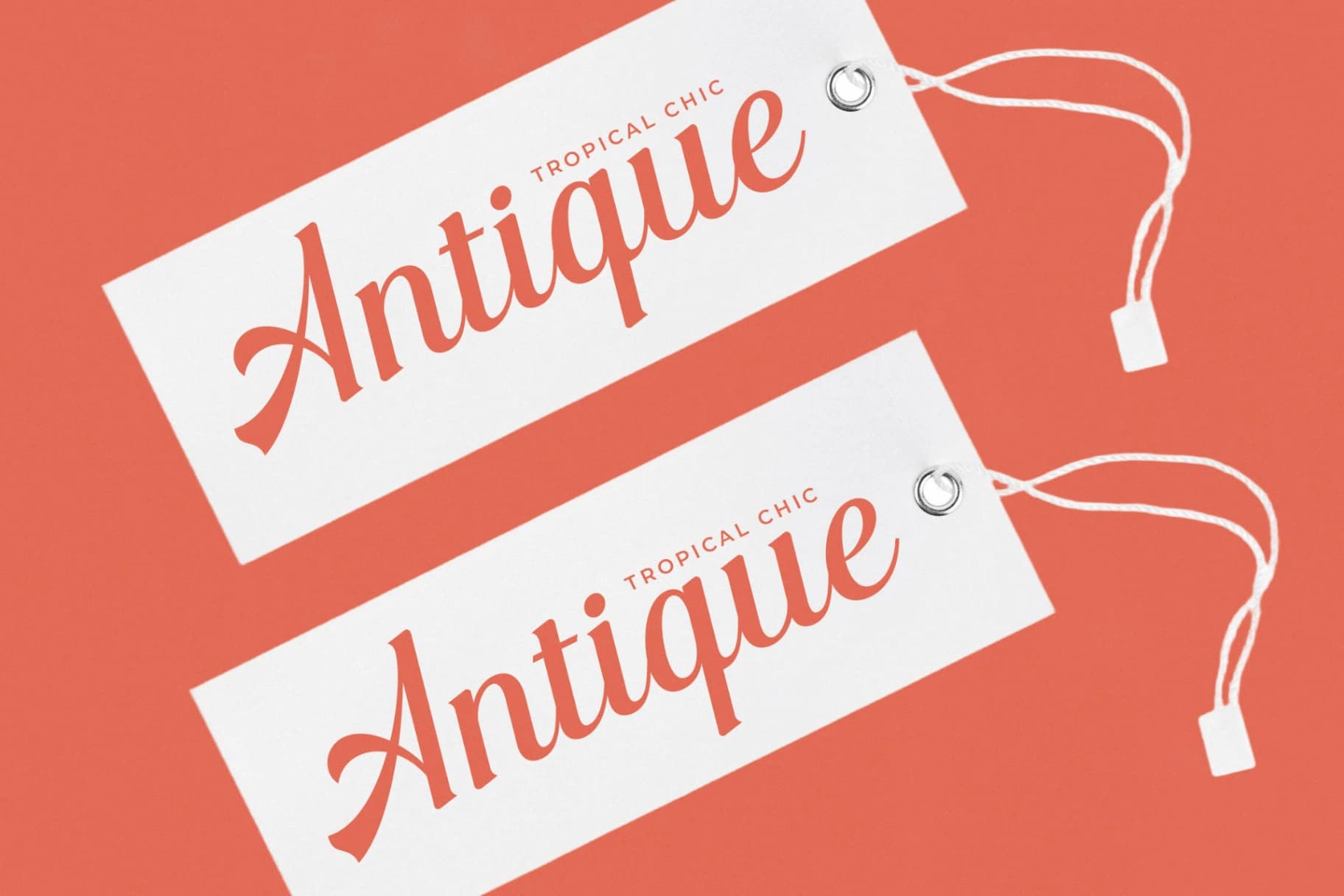 Preview 14 for Nightalls Delight - Modern Bold Script Font