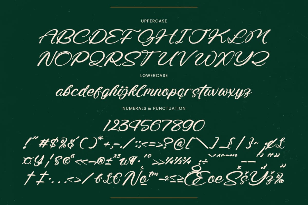 Radiate Yethina - Modern Script Font font preview 18